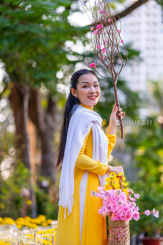 越南女孩穿着传统的ao dai服装，手持花枝在越南享受新年。春节和新年。